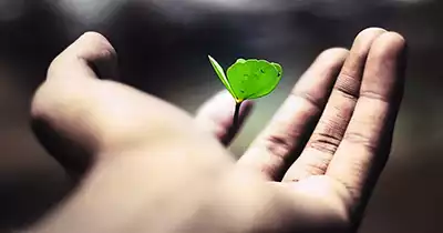 زندگی