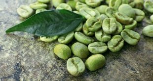 فواید قهوه سبز