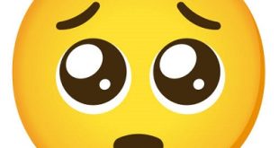 Pleading Face صورت ملتمسانه