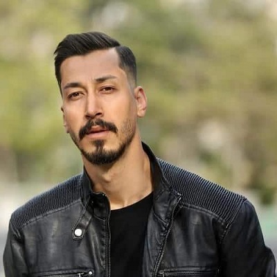 بازیگر بهرام افشاری