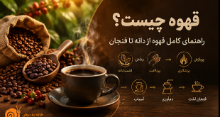 قهوه چیست؟