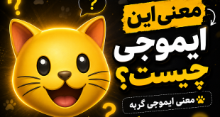 معنی ایموجی گربه